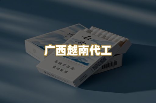 广西越南代工